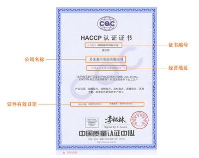 產品認證咨詢 企業合規與市場準入的關鍵橋梁